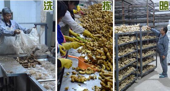 不用硫磺如何清洗生姜？